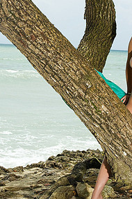 Sasha tropical tree near a nude beach in the Caribbean - 05