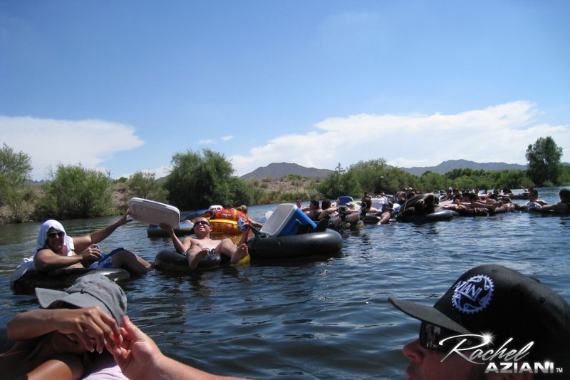 Big boobs bikini babes - 