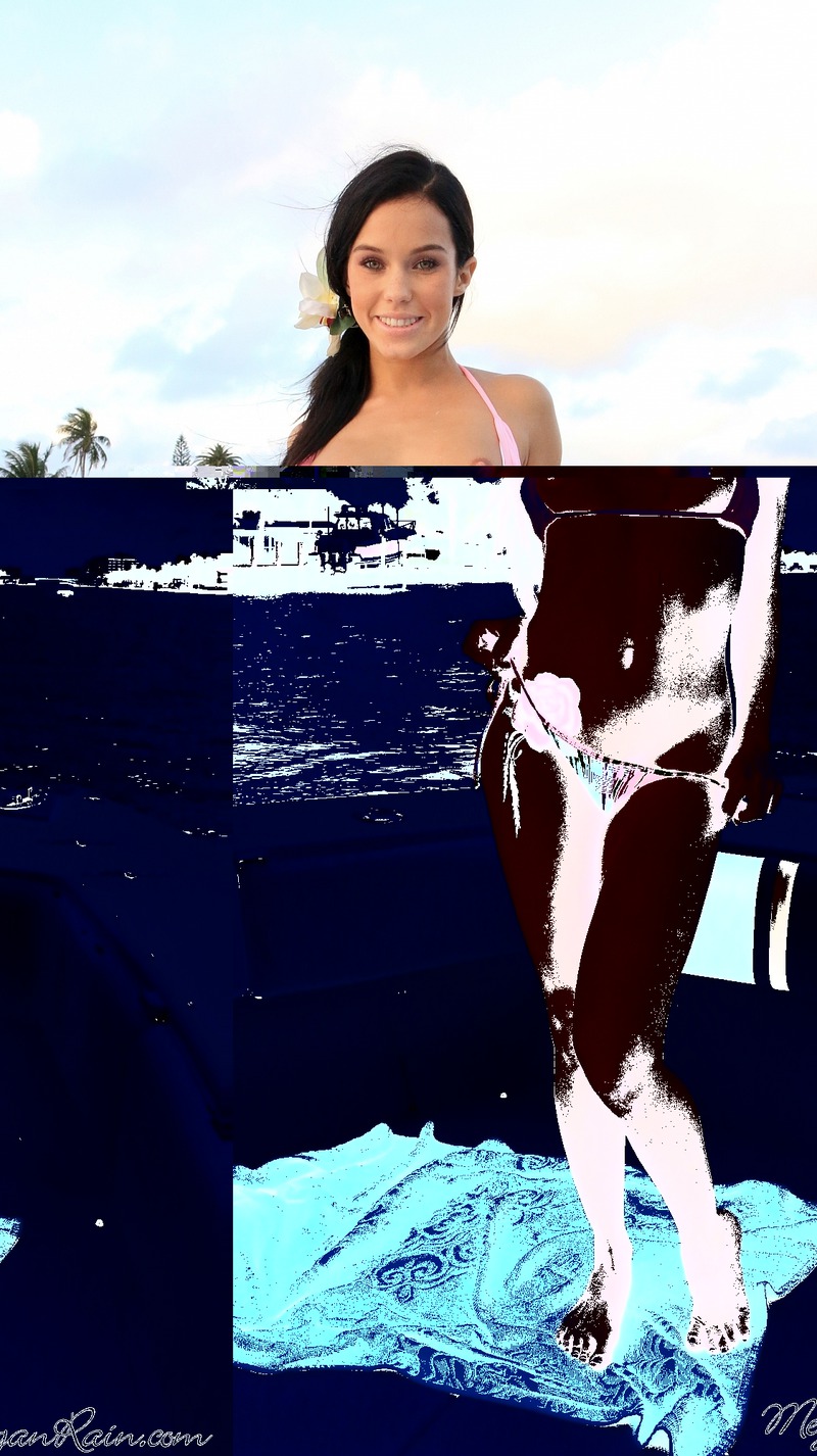 Fresh Catch - 