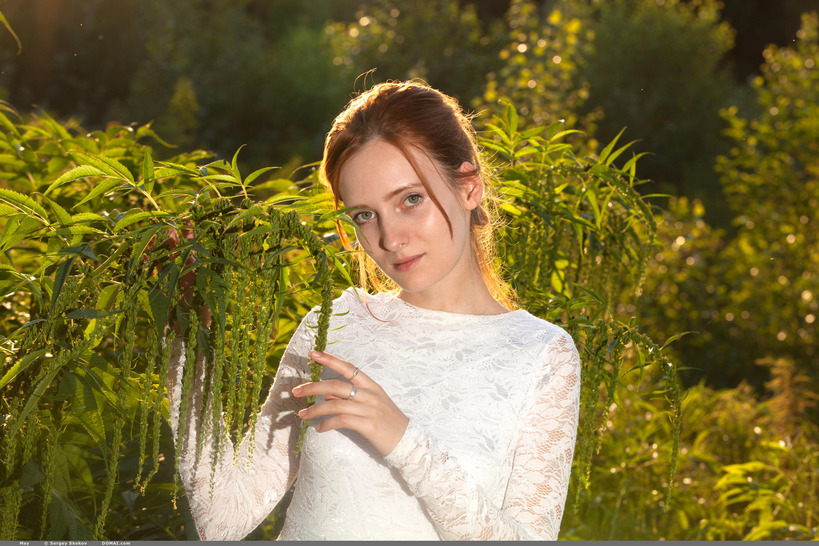 Redhead May In The Nature - 